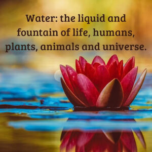 quote saying: Water: the liquid and fountain of life, humans, plants, animal and universe.